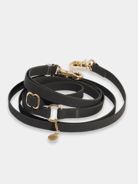 Laisse simple en biothane noir