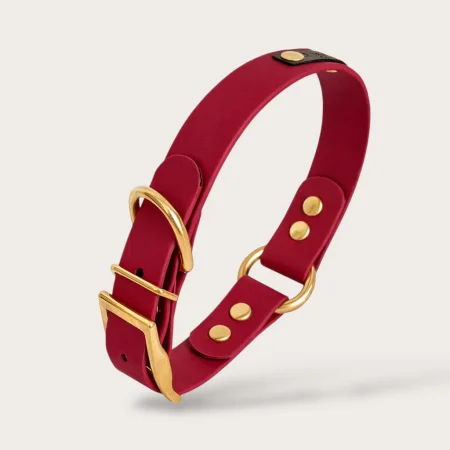 Collier en biothane Rouge