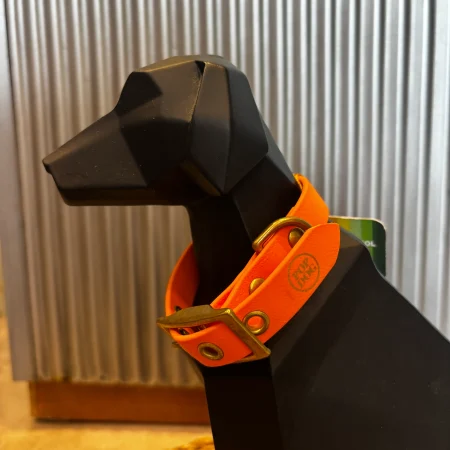Collier en biothane Orange