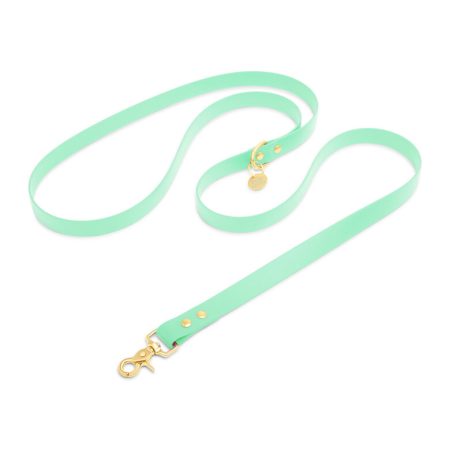 Laisse bandoulière en biothane Turquoise